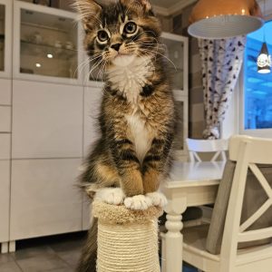 Hilma - 12  veckor