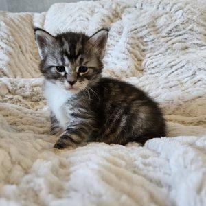 Melvin - 3,5 veckor