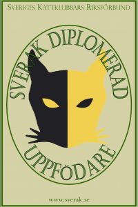 diplomeringslogo diplomeringslogo
